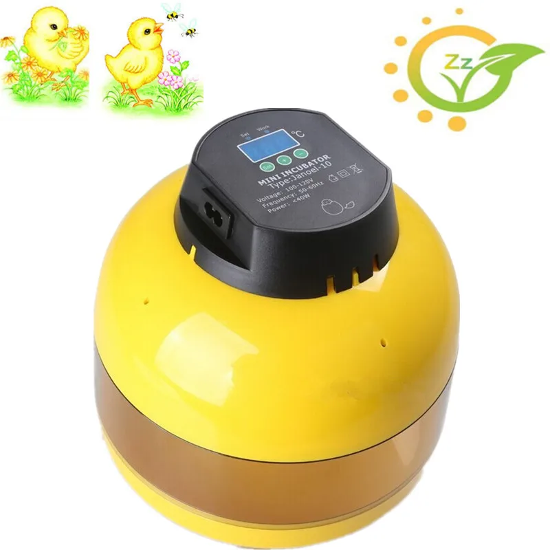 Best Sale Mini Brooder 10 Egg Incubator manual Controller for Chicken Duck Quqil Goose egg top selling automatic egg incubator mini 48 egg incubator for sale