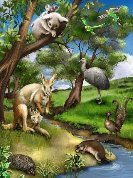 

New Diy Diamond Painting Kangaroo Drinking Water Diamond Embroidered Resin 5D Diamond Mosaic Crafts Rhinestone Sewing Full Circl