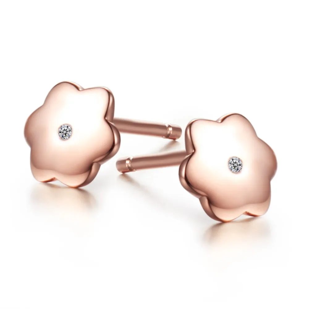 silver earrings CASE04661SA (1)