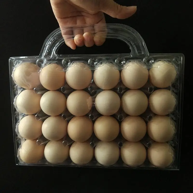 OUNONA 5 шт. ящик из прозрачного пластика для хранения яиц 24 Сетки Диспенсер держатель Контейнер для хранения для кухни дома холодильник