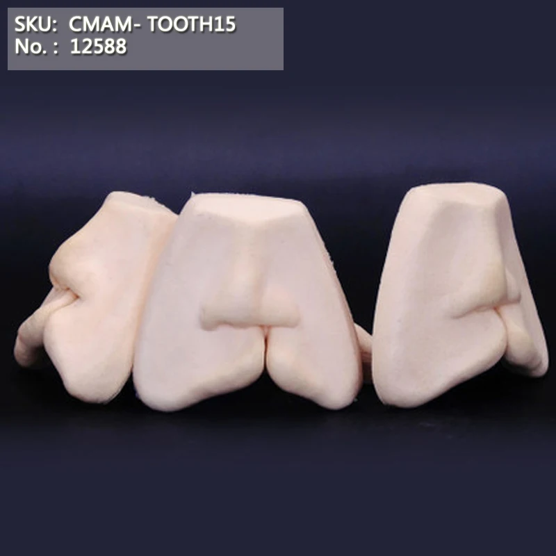 

CMAM/12588 Dental- Cleft lip suture, 5pcs/set, Human Oral Dental Medical Teaching Anatomical Model