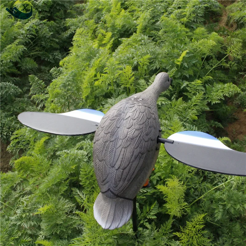 Hunting Duck (32)