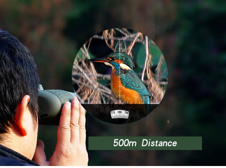 Cheap marine binoculars