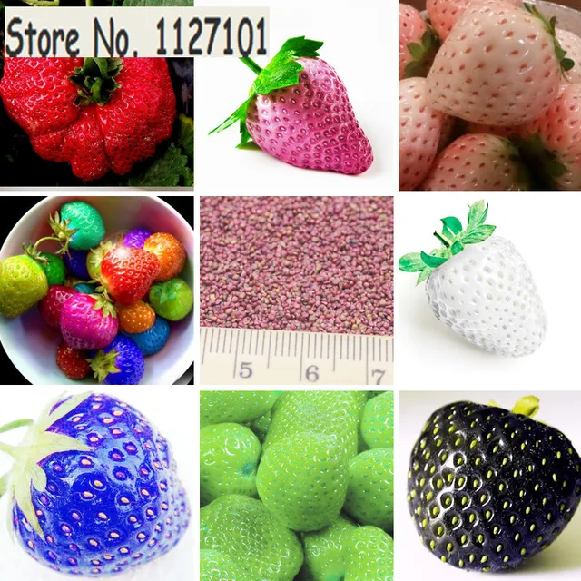 2000 PCS 9 kinds Japanese Hokowase Strawberry Seeds climbing strawberry