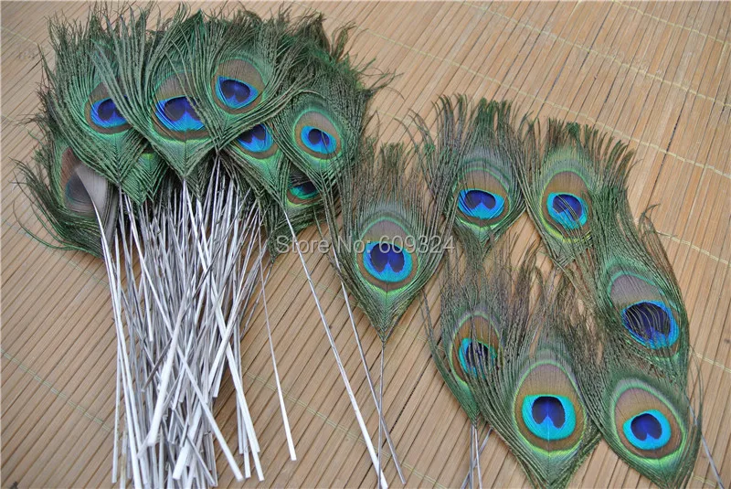 

FREE SHIPPING -Wholesale 200 pcs/lot Trimmed peacock eye feather for jewelry crafts party supplies decor
