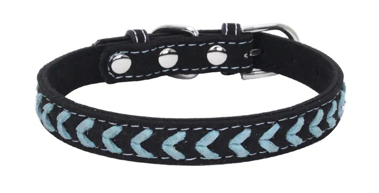 dog collars (6)