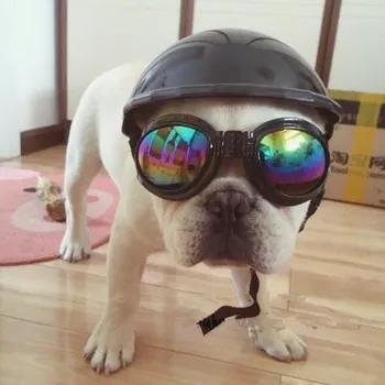 

Pet Motorcycle Helmet Hat Cap Dog Cat Costume Accessory Pet Supplies motorcycle ABS Plastic dog toy Helmet cap with sunglasses