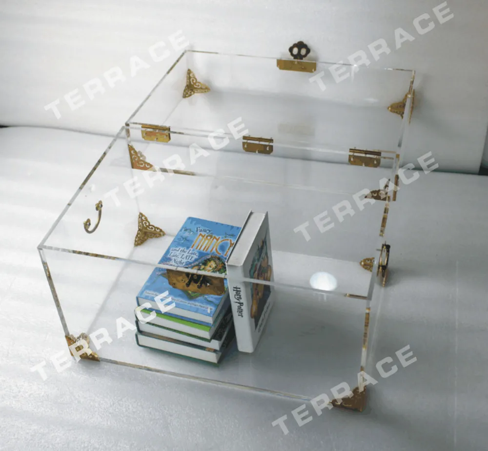 ONELUX Clear Acrylic Storage Chest ,Lucite Trunk Coffee Table- 2 color options for the metal decor ONELUX Clear Acrylic Storage Chest ,Lucite Trunk Coffee Table- 2 color options for the metal decor
