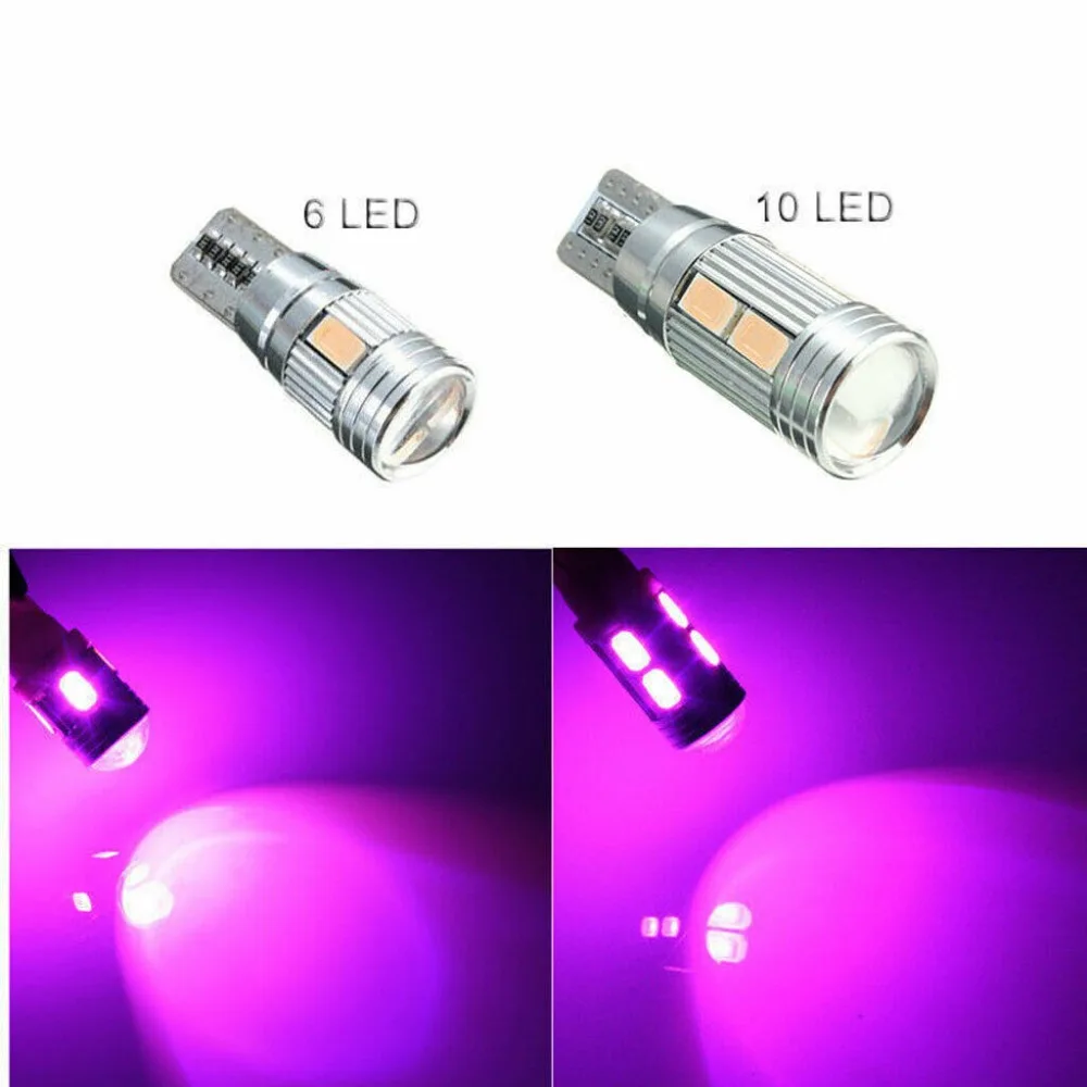purple 01