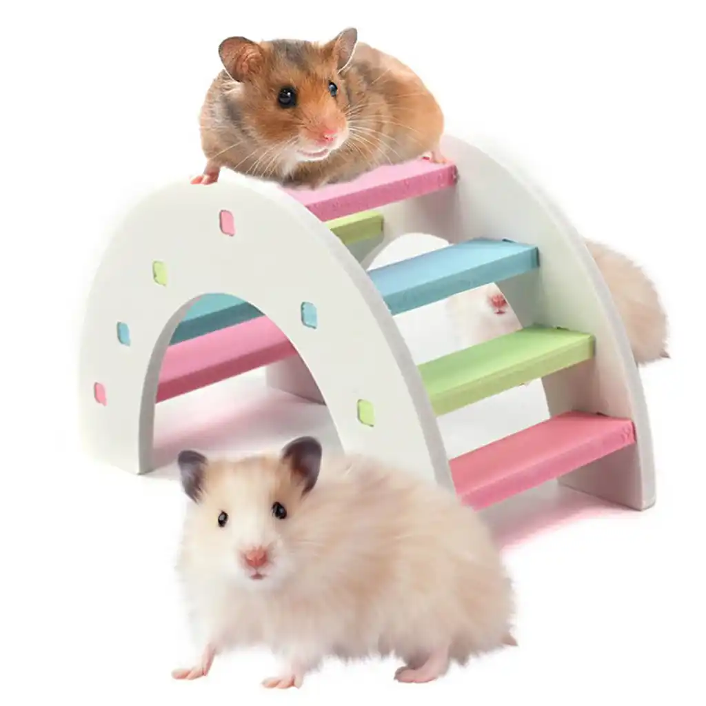 cheap hamster toys