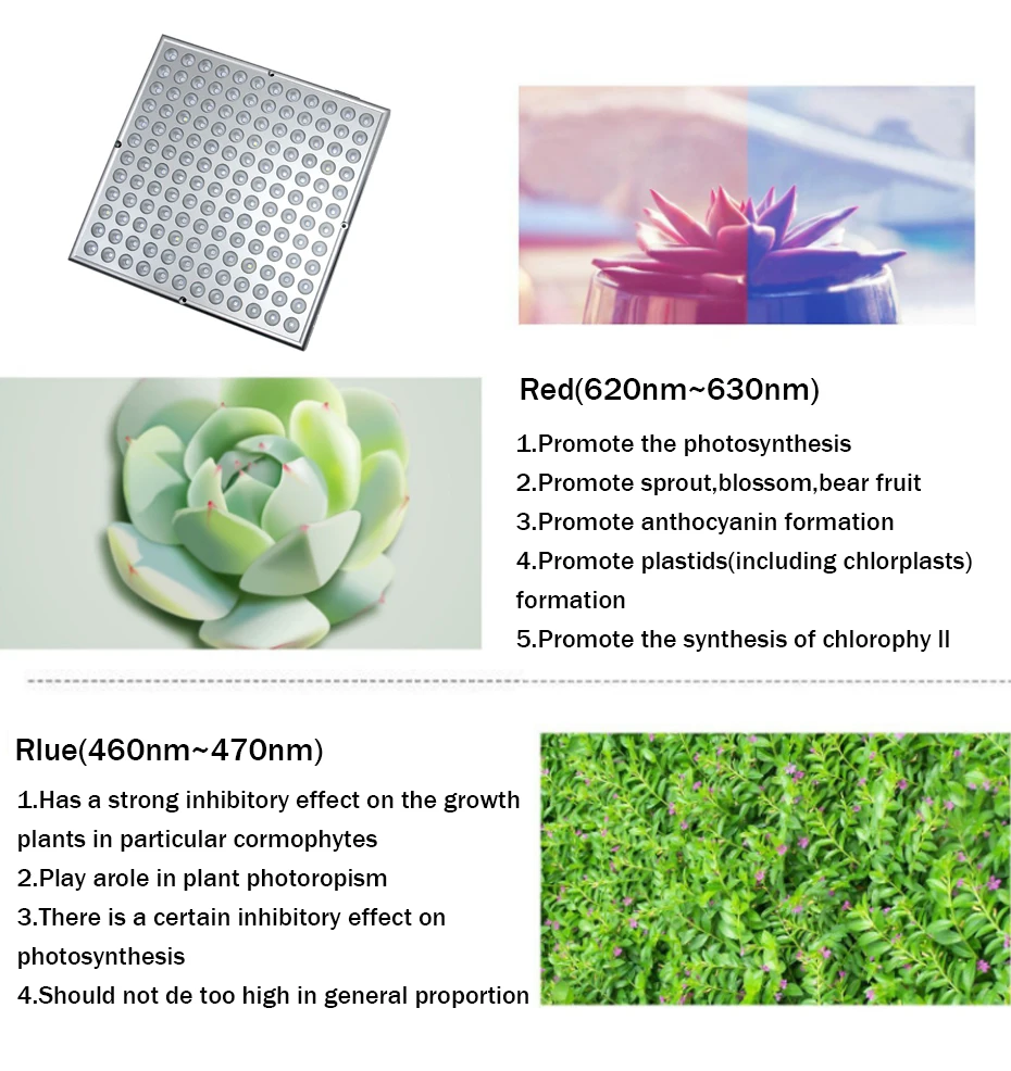 led grow light (5)