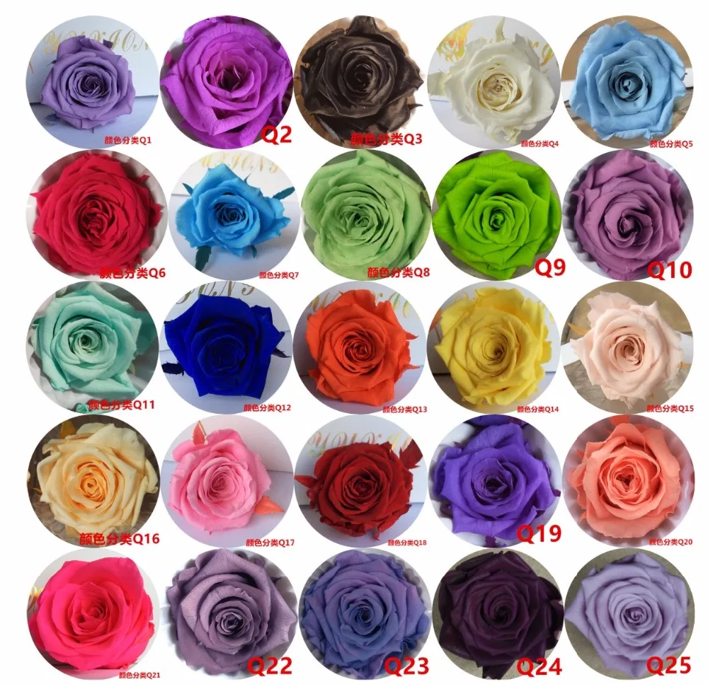 

24pcs 2-3cm Preserved Flower Rose Bud Head For Wedding Party Holiday Birthday Velentine's Day Gift Favor