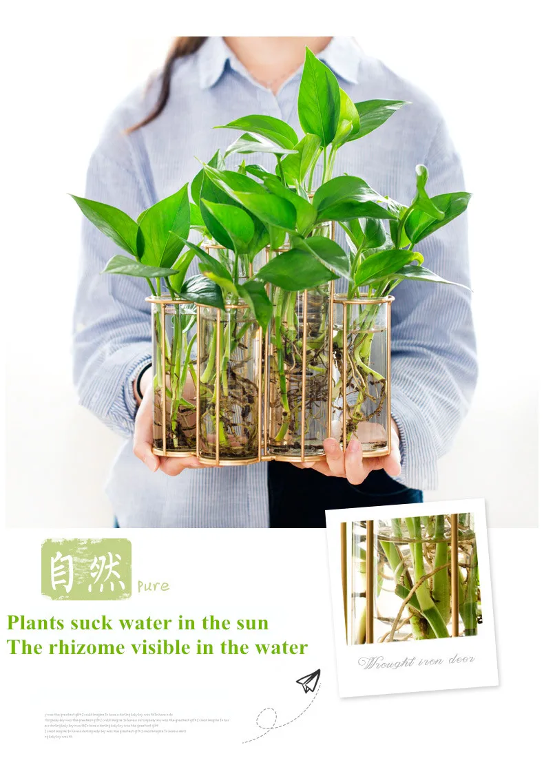 garrafa para planta de flor diy decoração