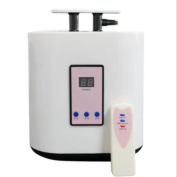 Sauna Steamer Steam Generator Pot 2.0L 1000W with Remote Control Family Fumigation machine steam boiler