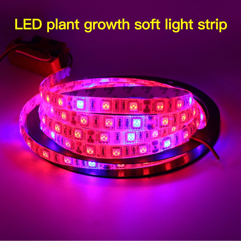 LED31_01