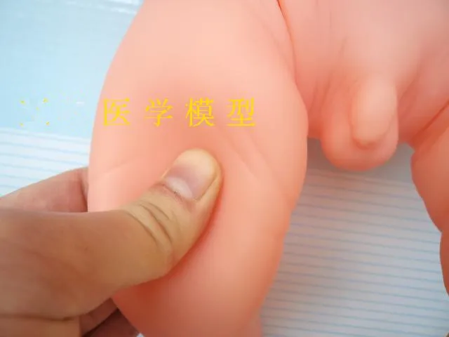 //img.alicdn.com/imgextra/i1/687093950/T29iYrXdXbXXXXXXXX_!!687093950.jpg