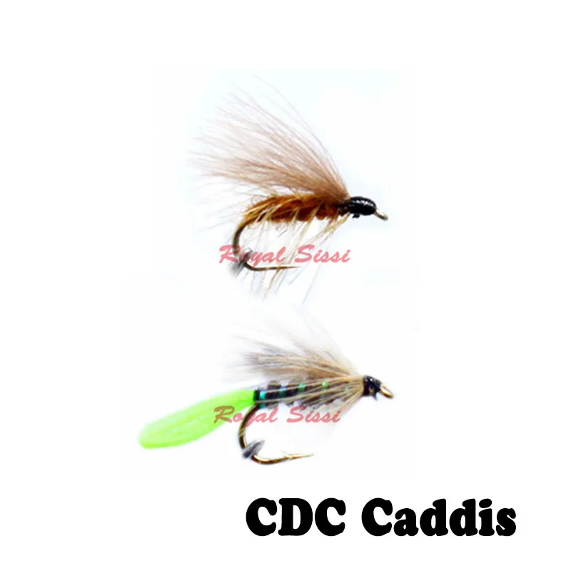 cdc caddisd