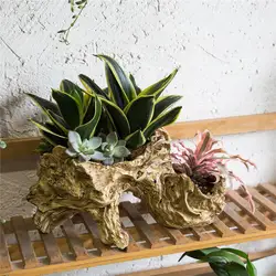 Многослойные искусственный Скульптура настольные декоративные нерегулярные воздушные растений secculent горшок сеялки driftwood смолы цветочный