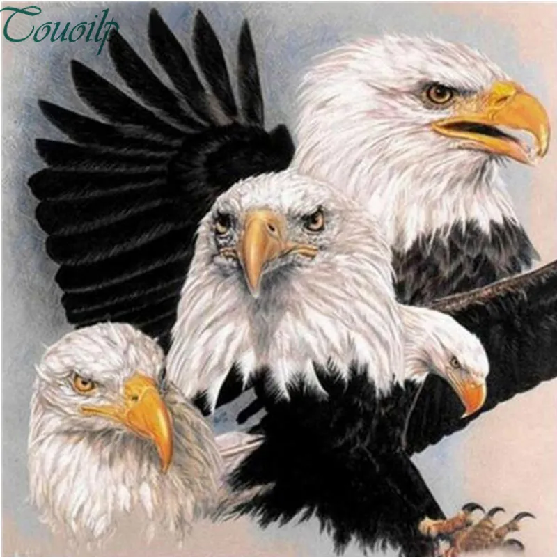 Набор для алмазной живописи EAGLE AND EAGLE-DIY | Дом и сад