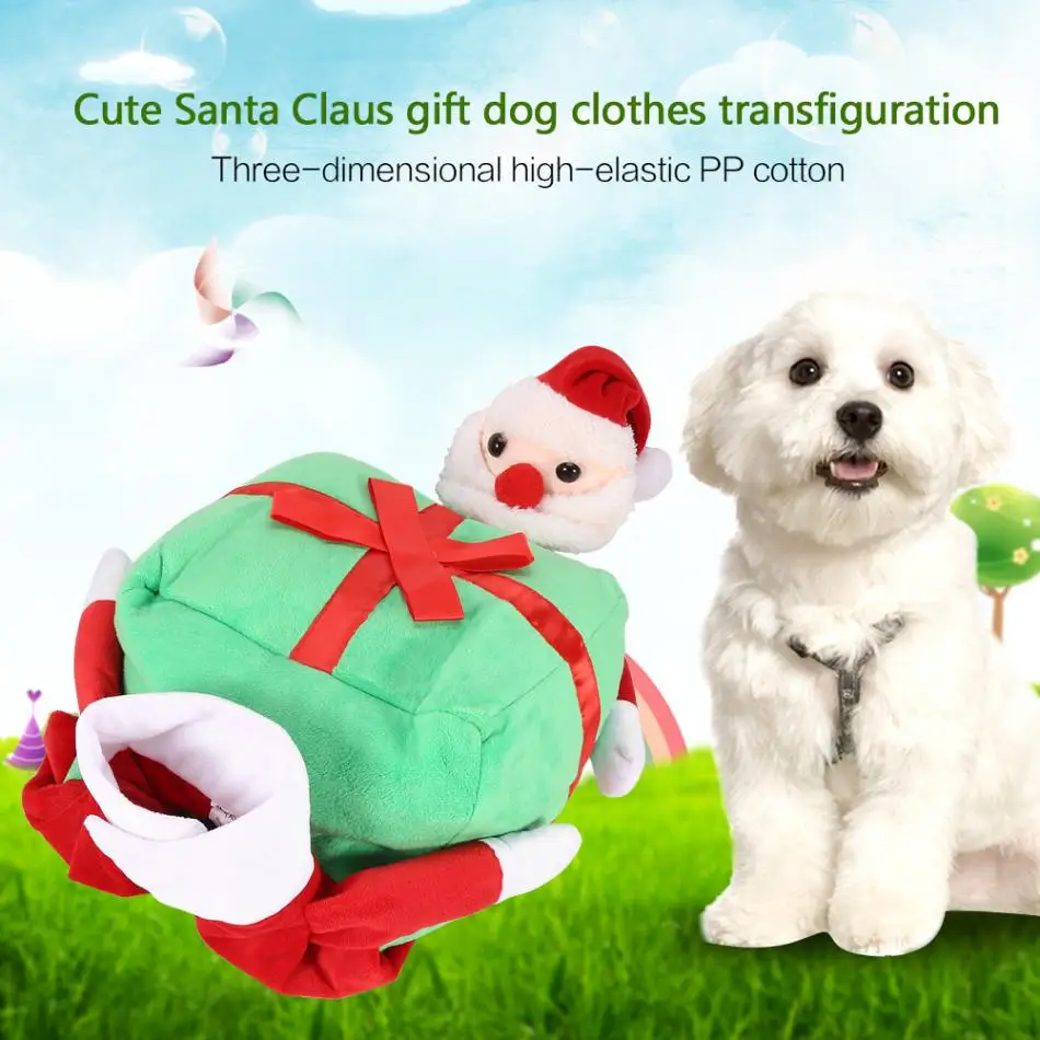 1 x Pet Clothes ly