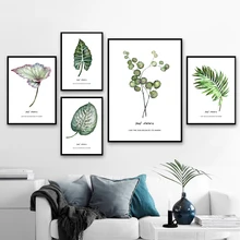 Leaf Tropical Plant Monstera Wall Art Canvas Painting Nordic Posters And Prints Wall Pictures For Living Room Home Decor Leaf Tropical Plant Monstera Wall Art Canvas Painting Nordic Posters And Prints Wall Pictures For Living Room Home Decor