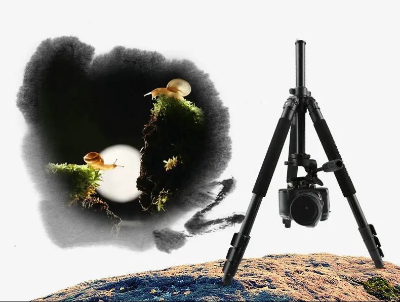  WEIFENG-6663 Professional Camera Tripod Flexible Tripod for Digital DSLR SLR Camera Nikon Canon Son