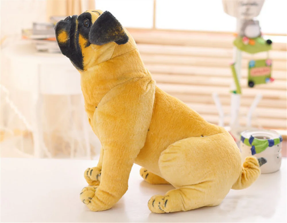 dog11