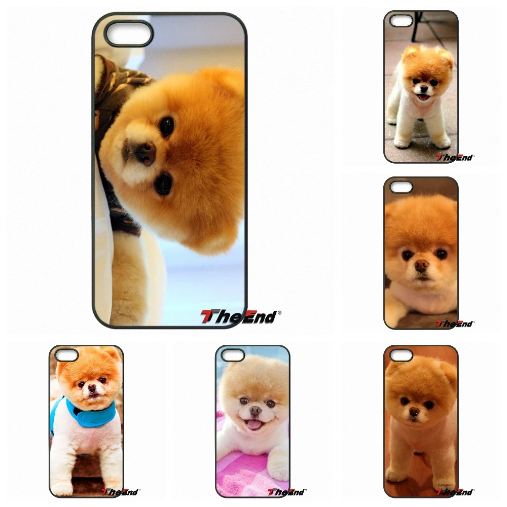 boo pomeranian Animals dogs pets For iPod Touch iPhone 4