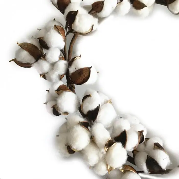 Simulation Dry Cotton Wreath for Wedding Festival Party or Home Decoration BDF99