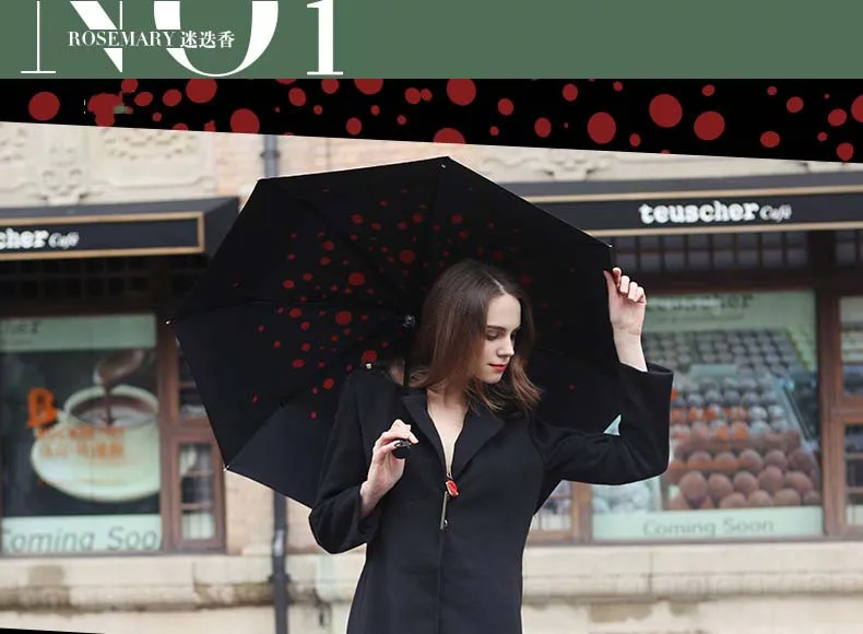 umbrella paraguas parapluie19.jpg