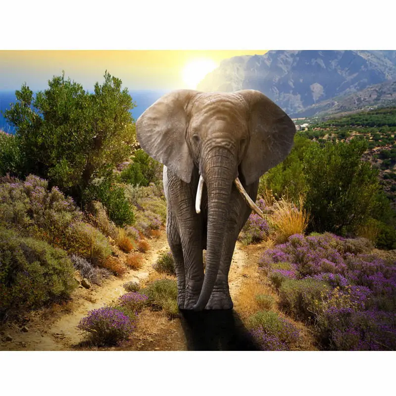 

CHUNXIA Framed DIY Painting By Numbers Elephant Acrylic Painting Modern Picture Home Decor For Living Room 40x50cm RA3205
