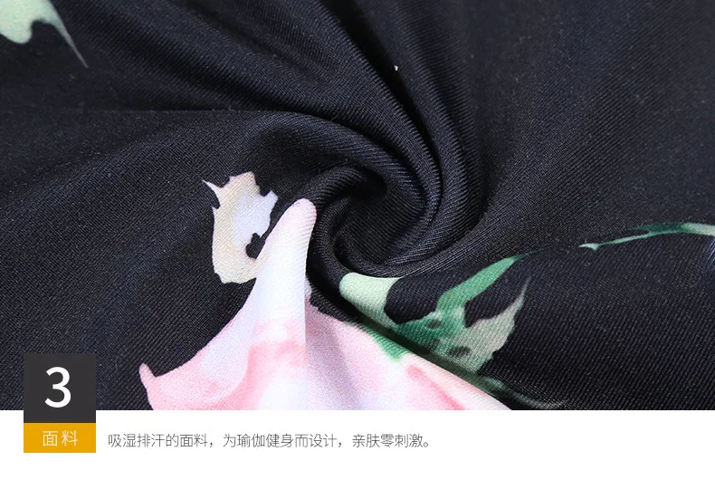 8646658008_137042813