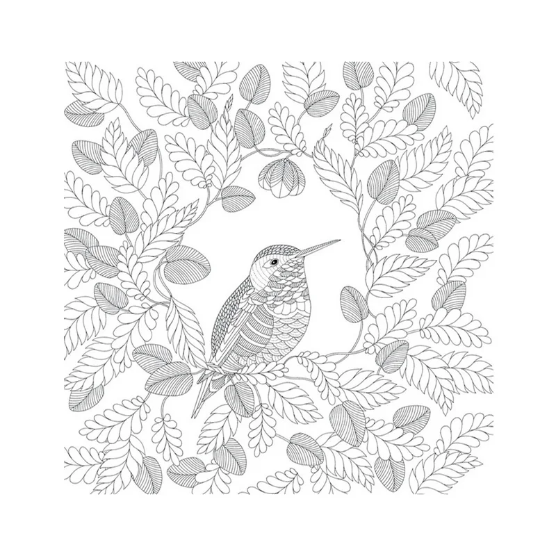 Animal Kingdom Book Coloring Books For Adult Kid Painting Antistress Mandala Secret Garden Art Color Drawing 185185cm 24Pages In From Office