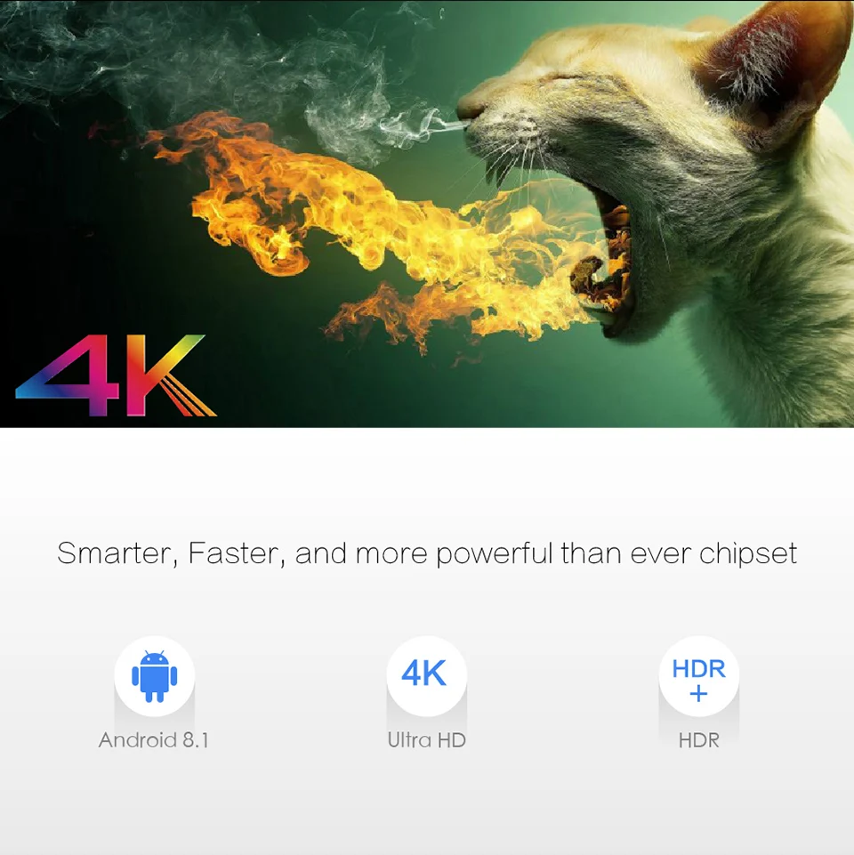 X96 Max Smart Android 8,1 ТВ приставка Amlogic S905X2 четырехъядерный ARM 4K медиаплеер 2G/16G 4G/3 2G 4G/64G DDR4 2,4G& 5G двойной WiFi