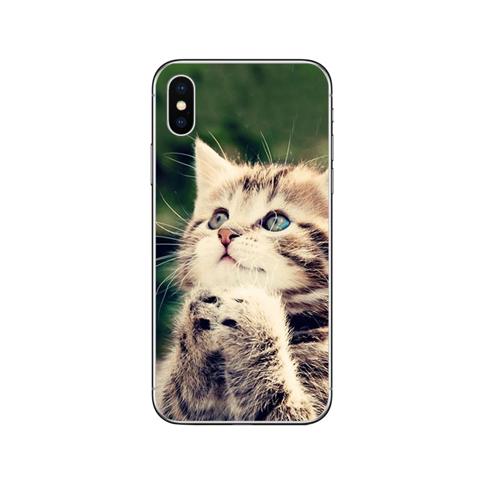 Чехлы для телефонов ciciber с милым котом котенком для iPhone 11 Pro XR X XS MAX Funda Coque для Iphone 7 8 5S 6 6S Plus SE Мягкий ТПУ чехол Капа - Цвет: Patterned 6