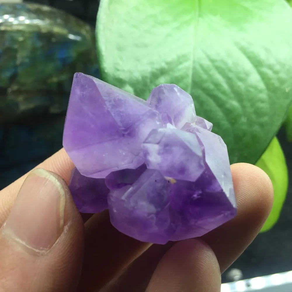

30g Beautiful Crystal Flower Stone Natural Purply Amethyst Specimen SCB104