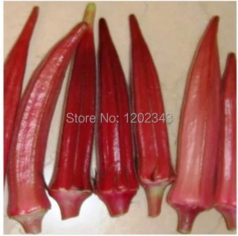 

50pcs Okra ,Edible Organic Non GMO fruit vegetable ,Hibiscus esculentus L. flower DIY home garden plant easy grow