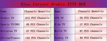 Lifetime Arabic Iptv box free forever Support 860 Live Stream Sports Include French Africa Turkey And Movies Set Top Box