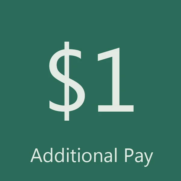 Additional Pay on Your Order &amp Extra Fees Shipping cost Price difference Products |