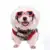 4 Цвета Pet Dog Солнцезащитные Очки Солнцезащитные Очки Pet Cat Очки Eye Wear Щенок Милая Защита Глаз Уход За домашними Животными Аксессуары