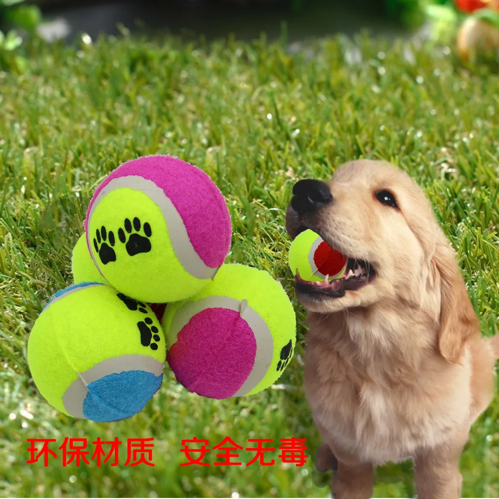 Pet Cat Dog Chew Training Toys Tennis Balls Run Catch Throw Play dog