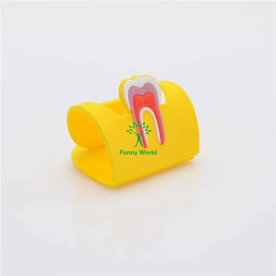 Molar em Forma de Borracha Titular do Cartão de Nome Expositor para Laboratório Dental Case Titular 5 2 Modelo de Ensino Dental