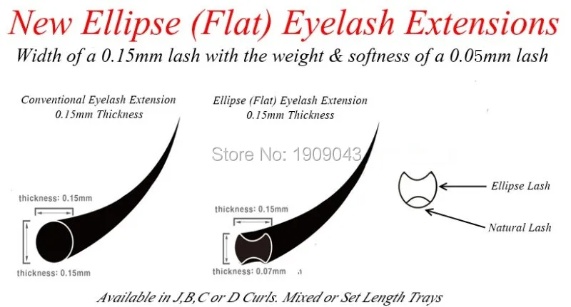 Ellipse lashes TRAY