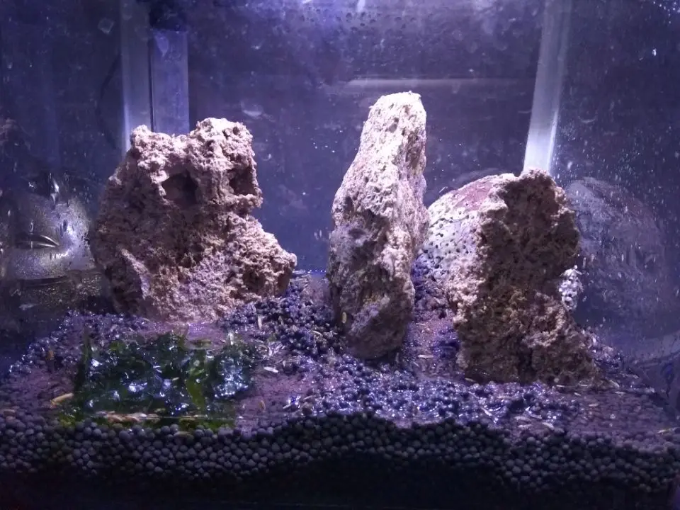 Природный необработанный камень Дракон Камень ohko fish tank озеленение горного камня украшение аквариума бонсай озеленение водной травы