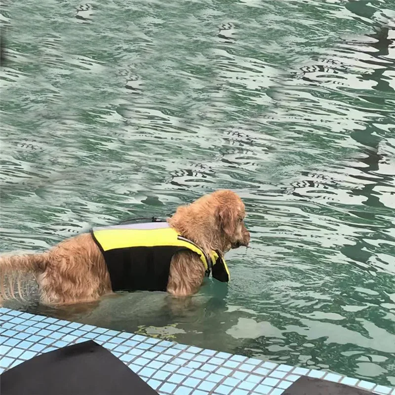 Спасательный жилет для собаки летние спасательный жилет для собаки для плавания безопасности жизни хранение Пресервы с спасательных ручка Светоотражающие Pet купальник