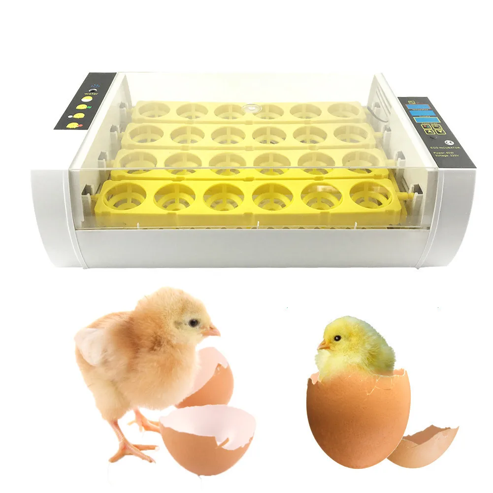 

2017 New 24 Small Size Digital Clear Egg Automatic Incubator Digital Temperature Geese Poultry Incubator Quail Pigeons Parrot