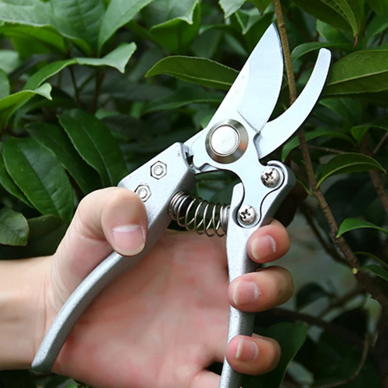 Steel Tool High Carbon Fruit Pruning Shears Tree Bonsai Pruners Garden
