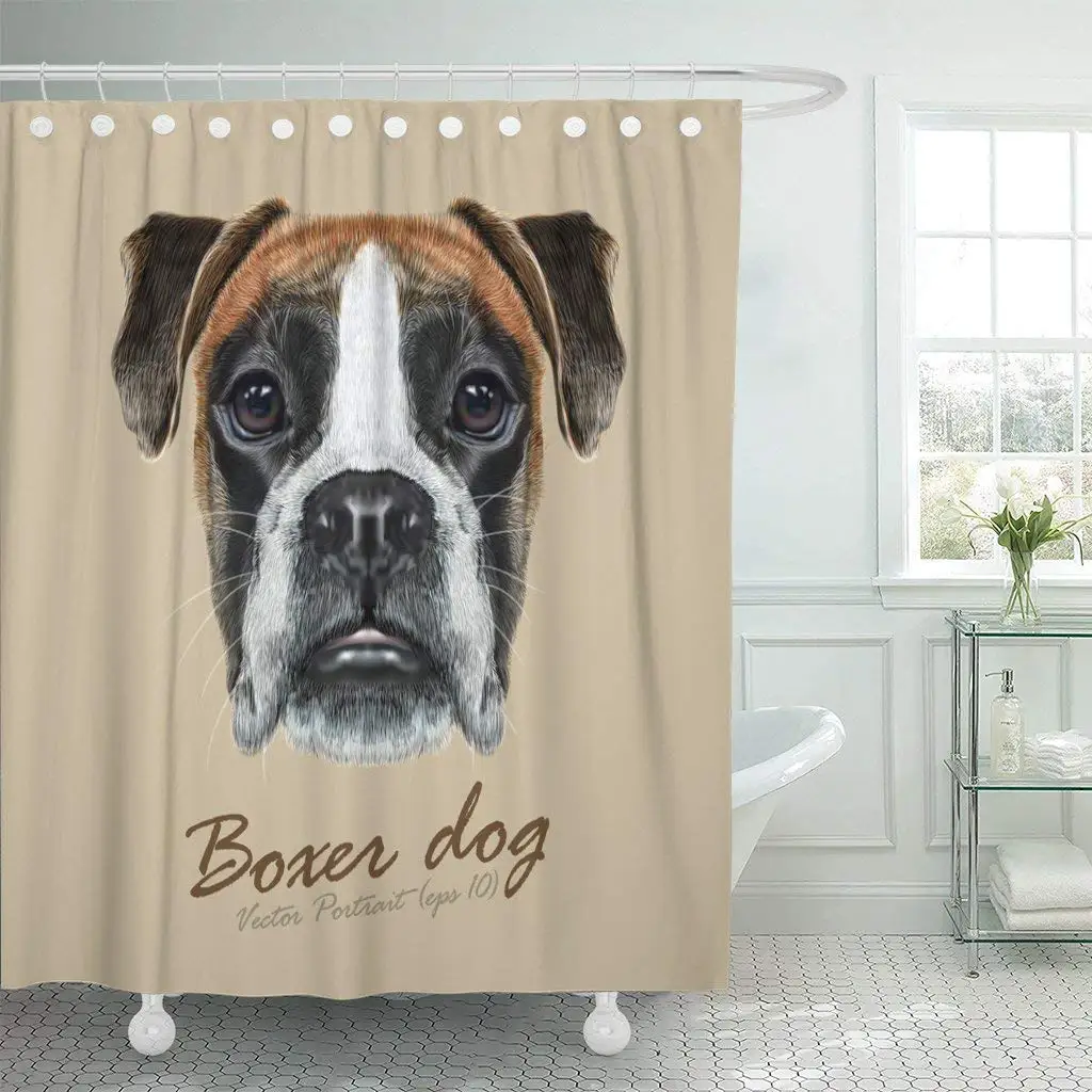 short boxer dog