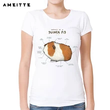 AMEITTE/забавная футболка «Анатомия морской свинки», женская футболка с принтом «милая Свинка», летняя хипстерская футболка с коротким рукавом