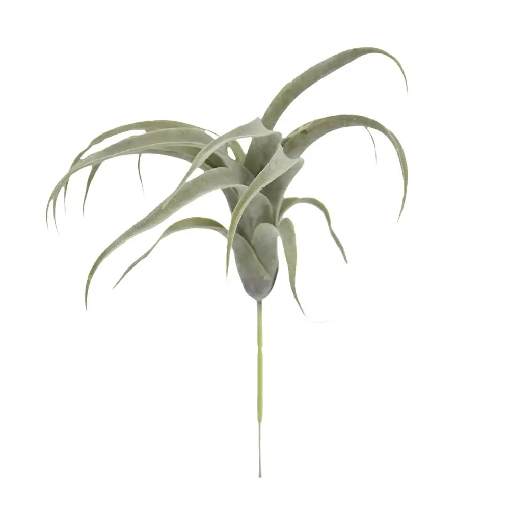 

Artificial Plants Succulents Air Plants Home Decoration Wedding Bouquet Wall Decorating Plants Crafted Plastic Floristry Plants